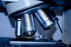 knee replacement surgery research 