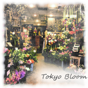 Tokyo-Bloom