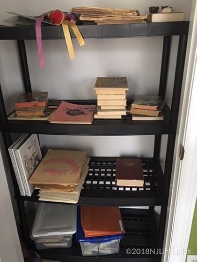 My new office closet shelf unit. Better than plastic bins!