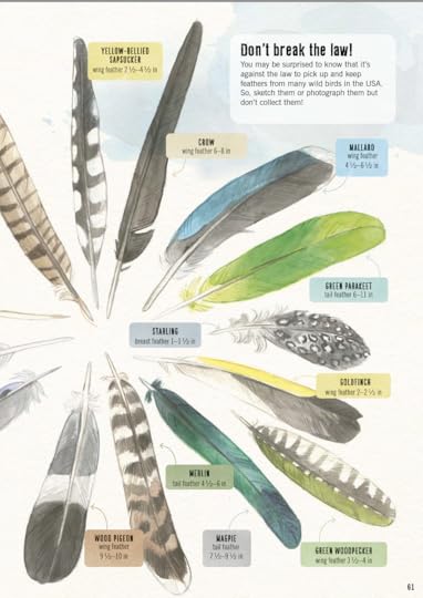 The Clue is in the Poop, feathers