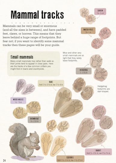 Clue in the poop, tracks