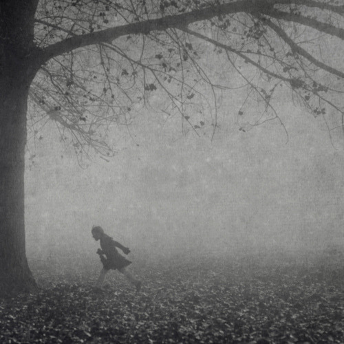 tumblr-mjs7sy79-Xe1qa7c5no1-500