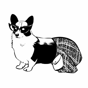 zombie corgi in Scotland