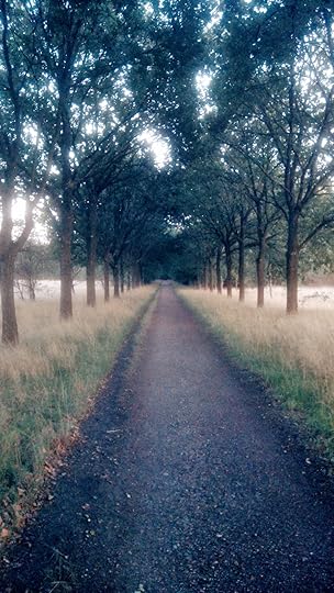 Haiku: pad door het bos