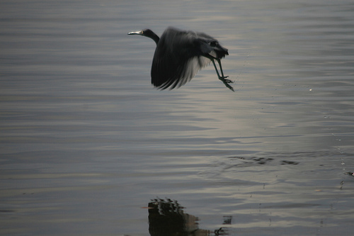 Takeoff