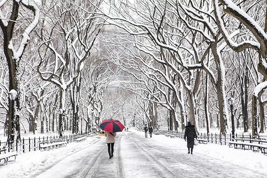 People walking through snow in winter in Central Park, NYC