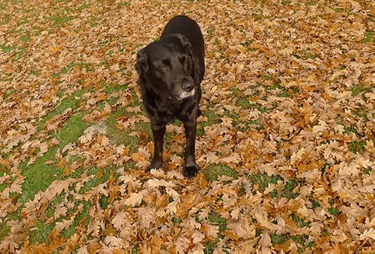 Hound and oak leaves
