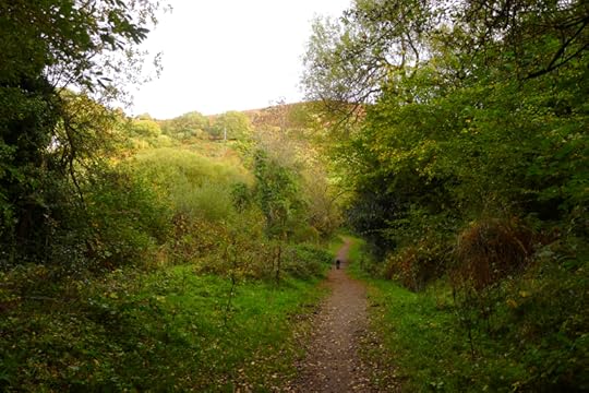 Following the trail home