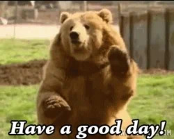 bear have a good day GIF