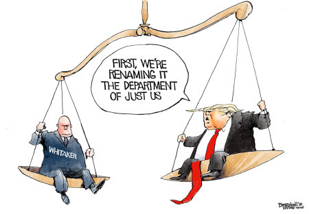 pol-toon-4