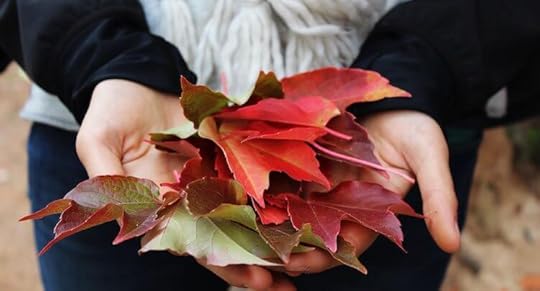 Thankfulness Comes from One Simple Word