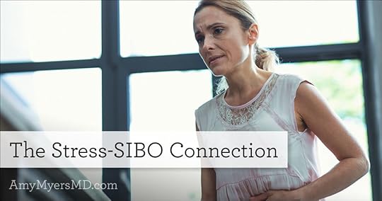 stress-sibo connection