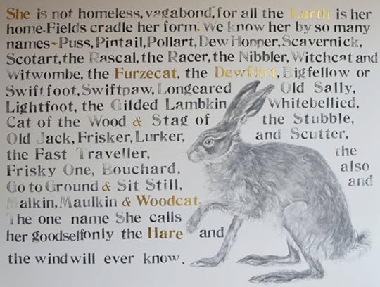 The Names of the Hare by Jackie Morris