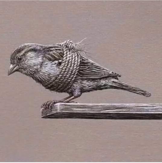 Screenshot-2018-10-05-00-17-16-1