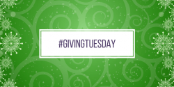 My #GivingTuesday Recommendations