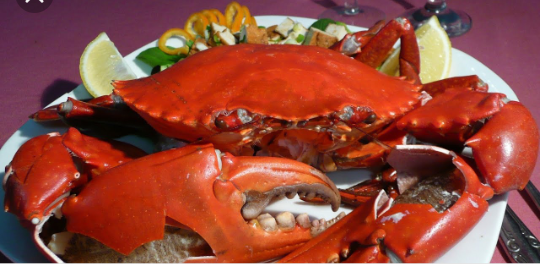 Screenshot-2018-11-29-12-33-57-1