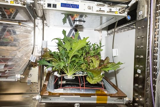 Plants about to be harvested on the ISS (NASA/JPL)