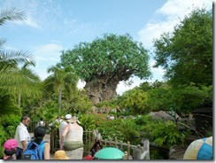 Animal Kingdom2