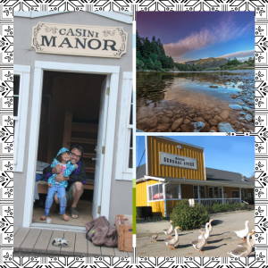 images of Casini Ranch