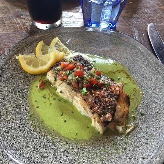 red snapper with salsa verde at Southerleigh Fine Food and Brewery in San Antoniio, Texas
