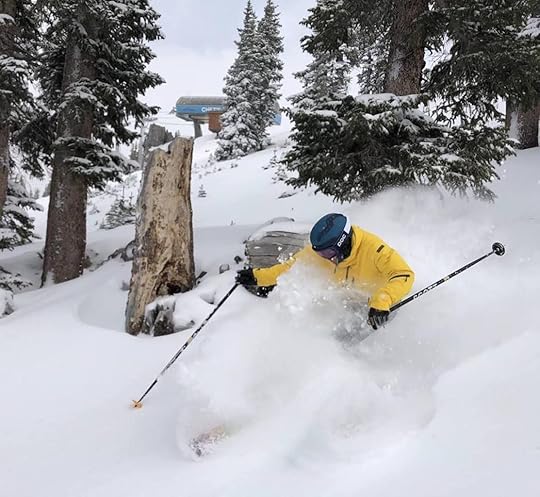 Skier shredding through fresh powder