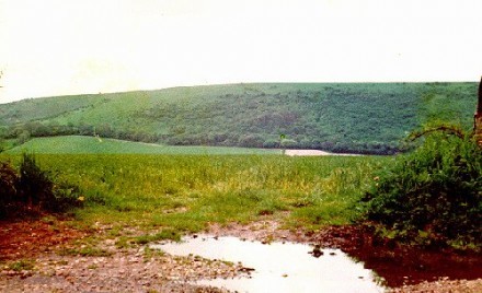 Image result for Watership Down, England