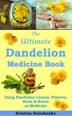 herbal medicine dandelion