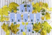 Your Free Tarot Reading – Cracking the week ahead!