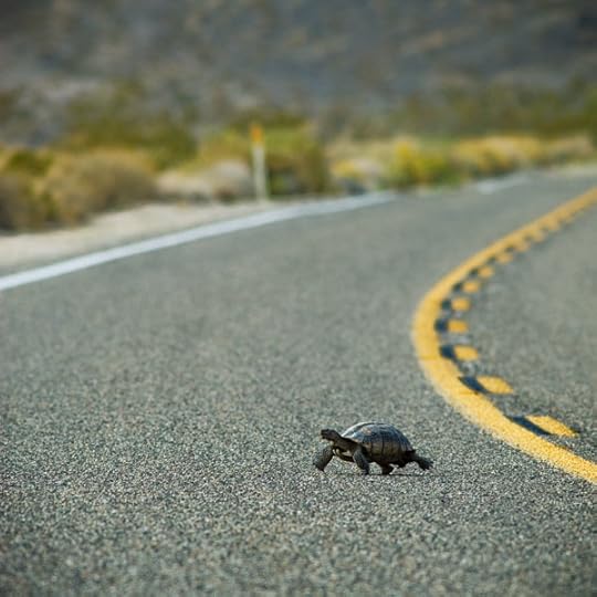 Slow and steady, baby