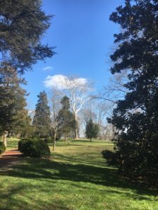 Stronger than Depression