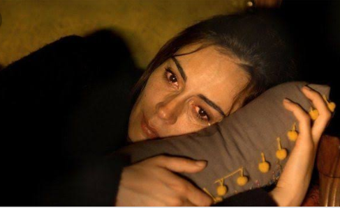 Screenshot-2018-12-06-14-26-36-1