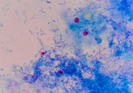 Cryptosporidium parasite
