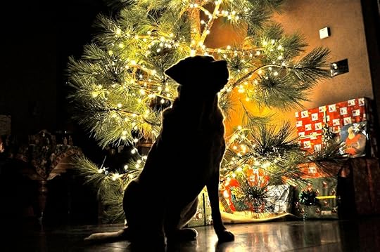 “Roxy” Photo by Nick Giles