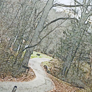 How Do You Know When You're Moving in the Right Direction? by @MConnollyAuthor #Direction #synergy 