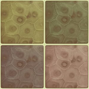 How Do You Know When You're Moving in the Right Direction? by @MConnollyAuthor #Direction #synergy 