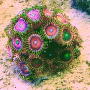 How Do You Know When You're Moving in the Right Direction? by @MConnollyAuthor #Direction #synergy 