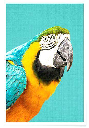 wiener shabby madel poster fa 1 4 r kinder design print format drucke prints wiener shabby madel