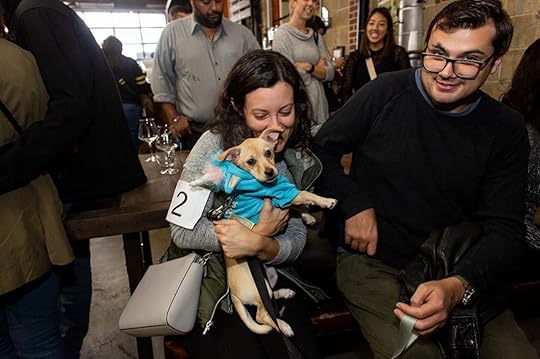 Fifth Hammer Brewing Company