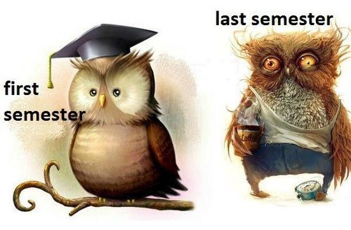 Image result for first year law school last year