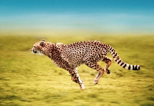 The Science of Record-Breaking