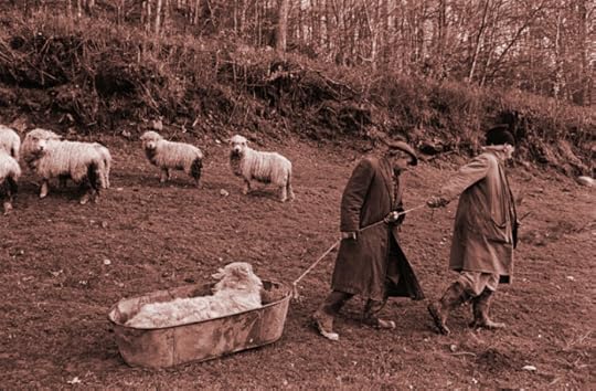 Moving the Sheep by James Ravilious