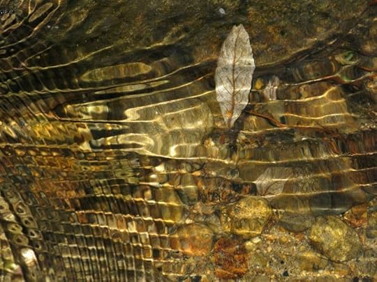 River photograph by Vikky Minette