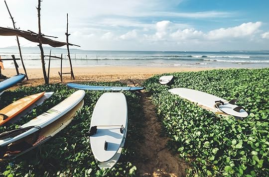 Surfboards are on the beach at Sri Lanka