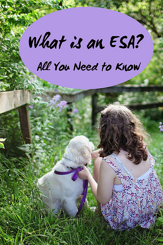 What is an ESA? All You Need To Know