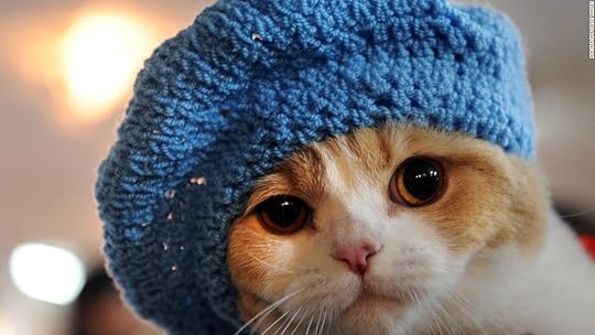 Image result for cute cats