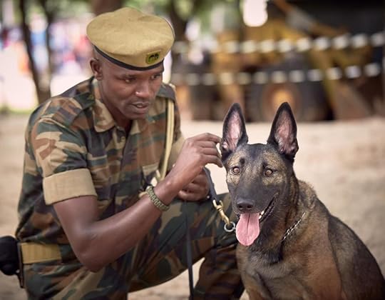 Foreign soldier with police dog