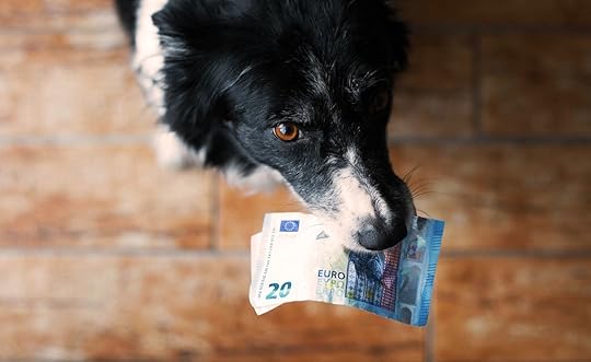 Dog holding euros in its mouth