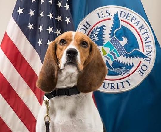 Dog in front of US and Homeland Security flags