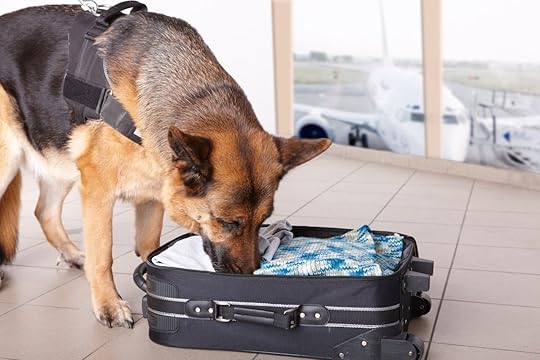 Dog sniffs out drugs or bomb in a luggage