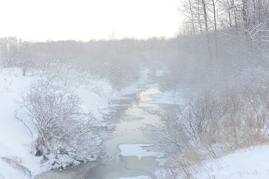 DSC_4087